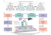 科学家借助人工智能与扫描探针显微镜技术精确制造了一种量子材料