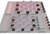 科学家开发出能模拟高斯玻色采样实验的突破性经典算法