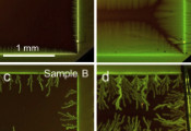 科学家在理解表面氧化物如何提高量子计算电路性能的研究方面获重要进展