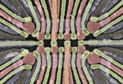 科学家首次实现对具有四个单重态-三重态量子比特的量子点系统进行通用控制