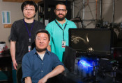 国际研究团队发现了量子流体涡旋动力学的普适规律
