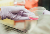 QDNL推出量子前行挑战资助项目 推进利用量子技术革新生命科学与健康领域