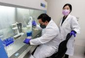 芝加哥大学成功将量子机器学习应用在癌症早期检测当中