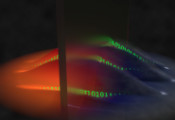 科学家首次在多粒子量子系统中实验证实量子信息删除会伴随熵与能量交换