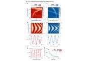 伊利诺伊大学科学家提出一种高性能超导量子处理器模块化架构