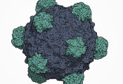 维康桑格研究所选择Quantinuum公司参与量子生物挑战计划