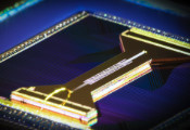 RIKEN科学家利用两台小型离子阱量子计算机模拟了量子信息扰乱过程