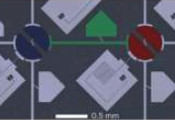 我国科学家开发的新通用方案能在超导量子处理器中高效生成任意双量子比特门