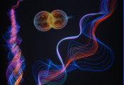 普林斯顿物理学家发现一种具有新型量子特性的拓扑激子绝缘体
