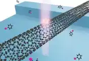 RIKEN开发出基于碳纳米管的量子光源，解决了控制发光点数量和精确定位的难题
