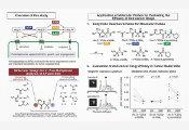 东京大学科学家利用量子传感技术对体内多种氨肽酶同时进行活性检测