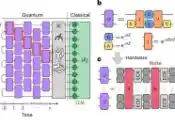 科学家利用91量子比特处理器精确了模拟多体量子混沌