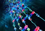 因斯布鲁克科学家与英伟达合作利用人工智能设计更优的量子电路