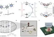 德国科学家成功实现对有机分子进行单分子级的量子调控