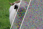 苏黎世联邦理工团队利用两颗量子芯片首次实现可认证的真随机数生成