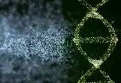 **构建一个能随时跟随质子的超导量子电路