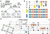 浙江大学实验演示了基于超导量子处理器的可寻址QRAM架构