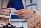 量子力学赋能AI，新型算法有望被用于辅助治疗儿童神经母细胞瘤