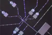 量子计算新突破：EeroQ成功演示微波光子与氦上电子电荷量子比特强耦合