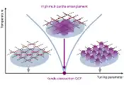 莱斯大学与维也纳大学科学家首次揭示了量子临界金属中的纠缠现象