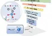 科学家首次在氧化锌中识别出可用于构建自旋量子比特的原子级缺陷