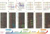 中国科学院团队发现层间滑动可用于设计三维量子材料超导态
