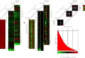 量子力学方法赋能人工智能技术，有望提升癌症治疗决策能力