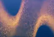 Singular Photonics发布全球首款基于单光子雪崩二极管的图像传感器