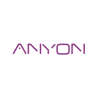 Anyon Systems