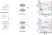 改变原子层间相互作用可改变量子行为，新研究为探索不寻常超导形式提供新途径