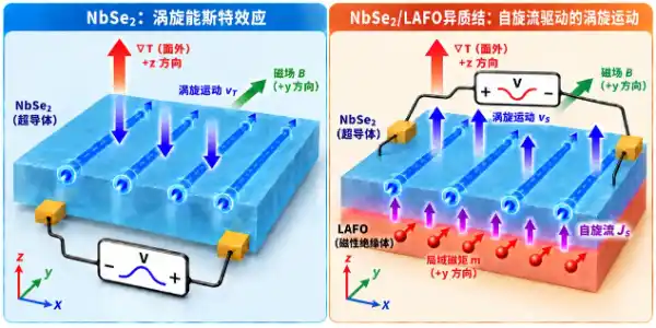 南科大李军学杨硕颖团队在二维超导体中实现涡旋介导的自旋流注入