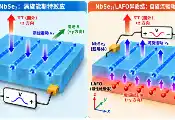 南科大李军学杨硕颖团队在二维超导体中实现涡旋介导的自旋流注入